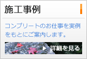 墓石清掃の施工事例